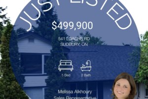 541 Loachs (1)