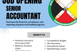 Senior Accountant