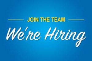 Looking to hire!