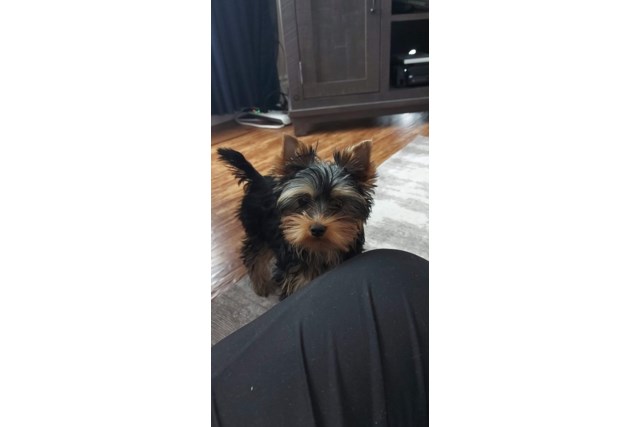 ABBIE JAN25