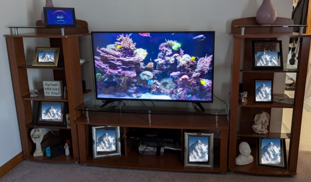 Entertainment Unit