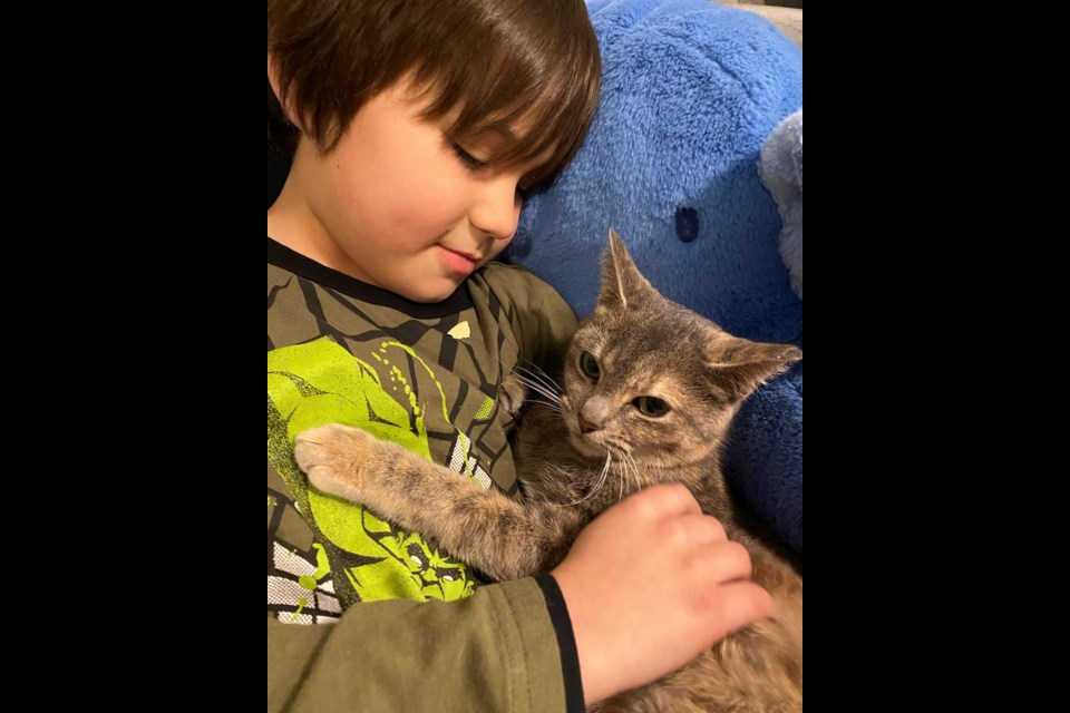 Duchess the cat was found stowed away on a gravel barge in Victoria's Rock Bay — and eventually returned home to be reunited with owner Elias Joe. 