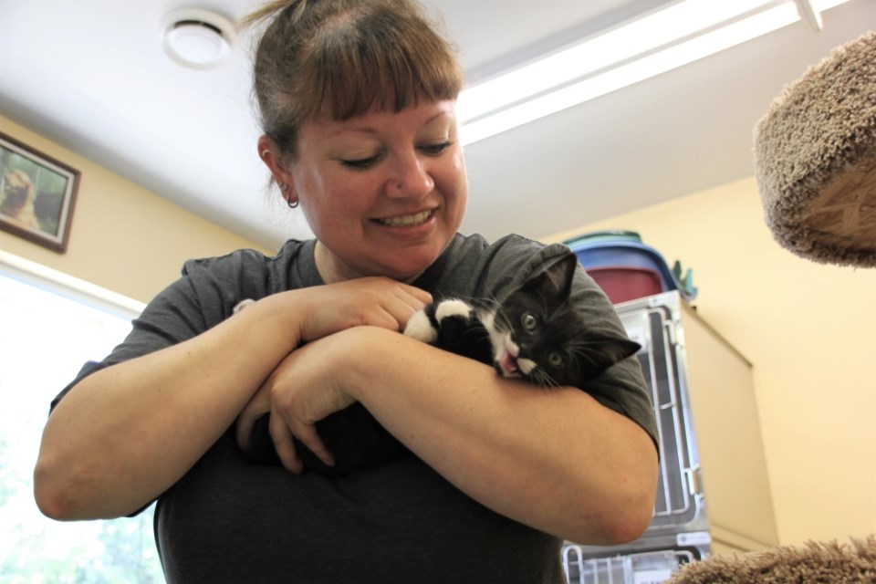 The Sunshine Coast branch of BC SPCA is looking for foster families to help care for incoming kittens.