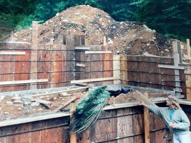 Peabod lived in Roberts Creek for a few years before running away from home.