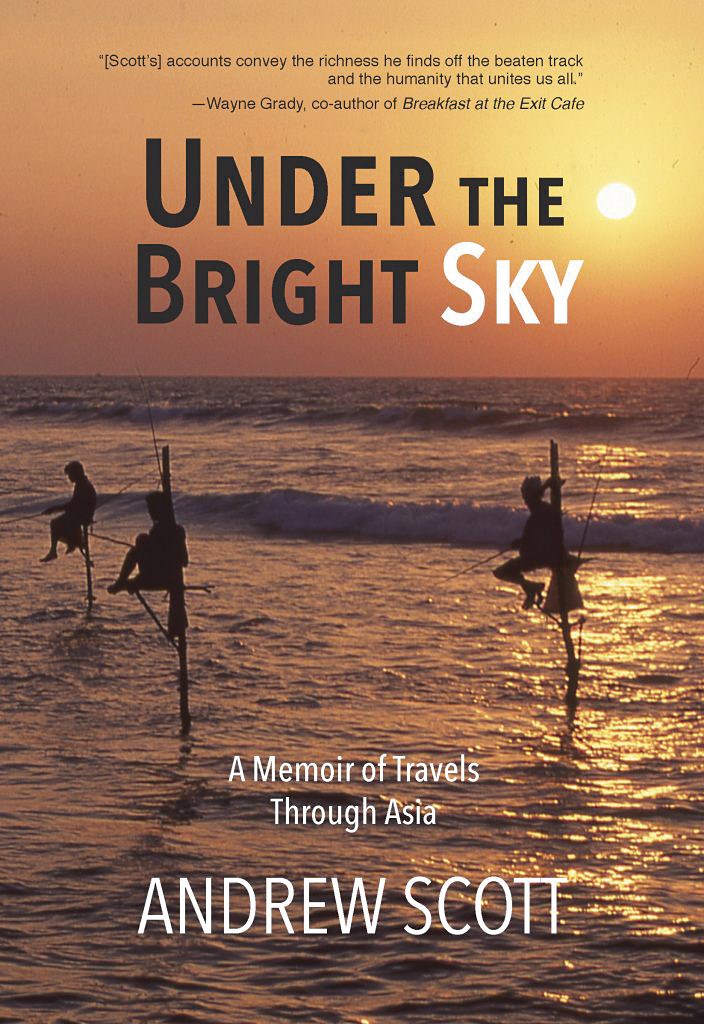 A.Under the Bright Sky_book cover