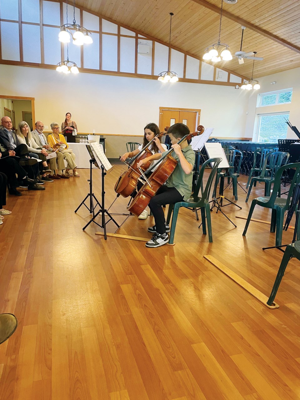 arts-culture-vso-strings-institute