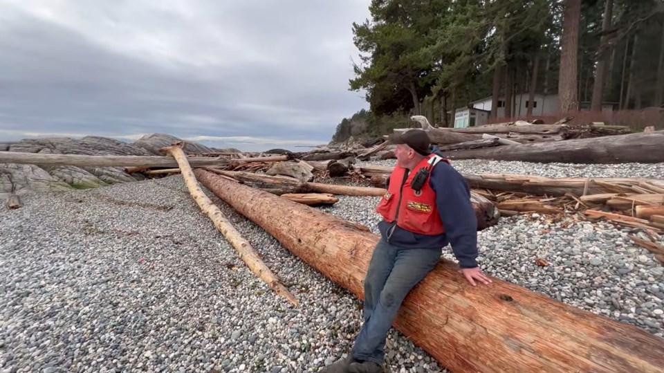 man sitting on log on beach