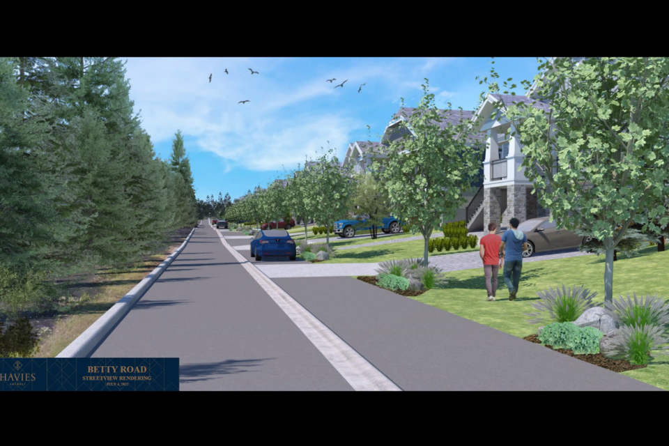 An artist's concept of a streetscape with the Havies development. APC wants to see pedestrian areas surfaced to avoid mud and maintenance issues.