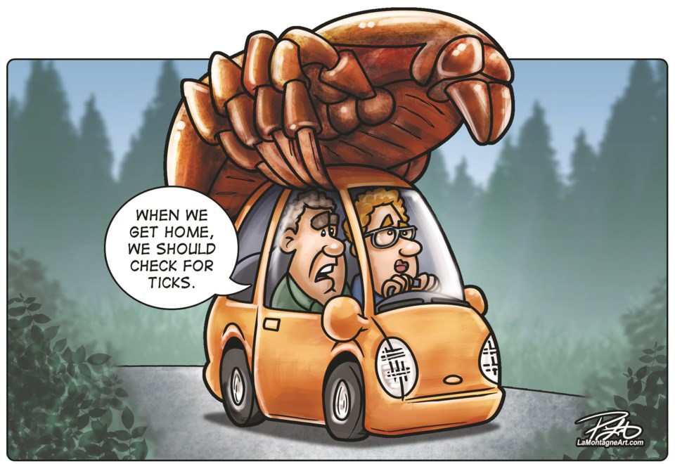 cartoon-of-giant-tick-on-car-with-people-in-car-saying-they-should-check-for-ticks-when-they-get-home