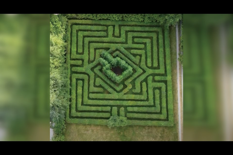 Drone view of the hedge maze.