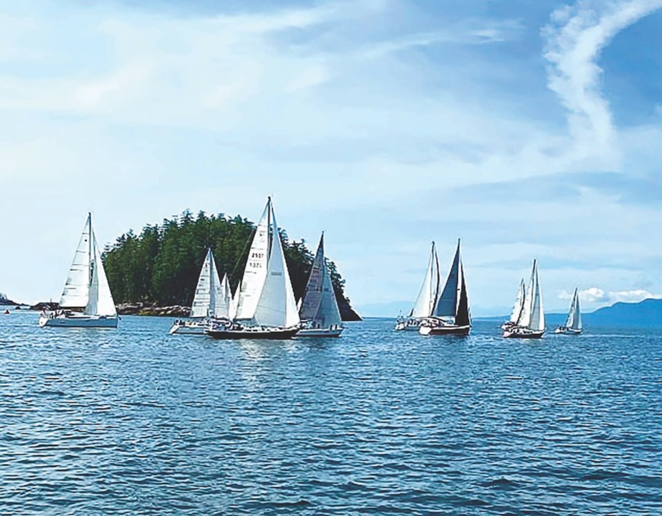 c-malasapina-regatta_d