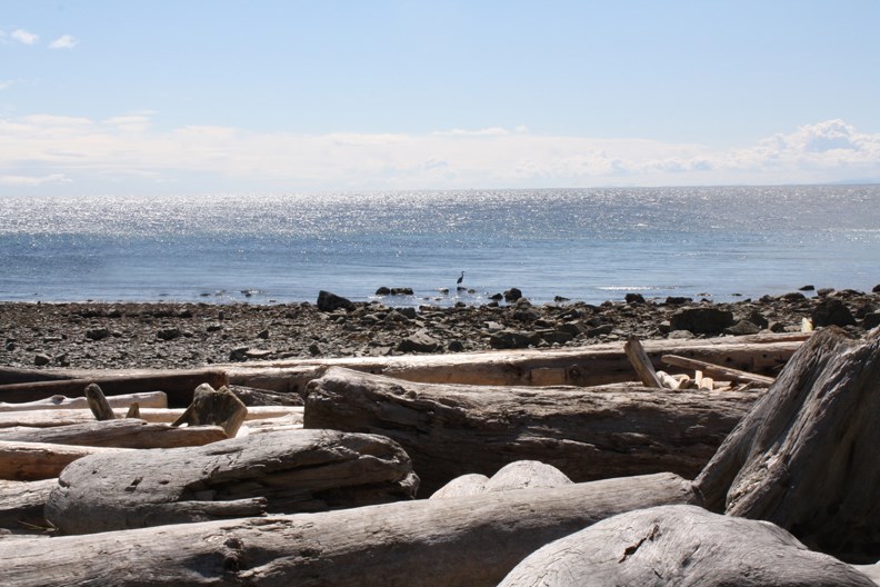 roberts creek-COLUMN