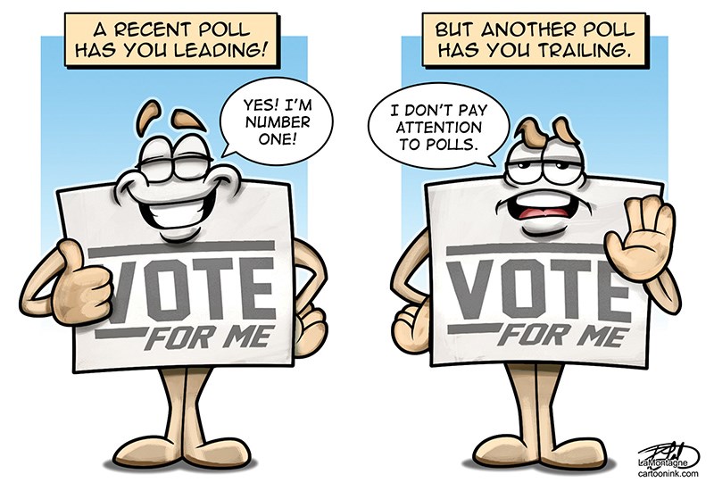 Toonink7478_Polling(choriz)_web