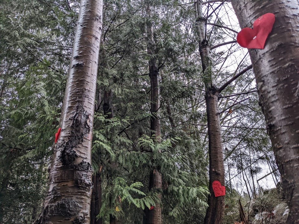 Gibsons Elementary School trees