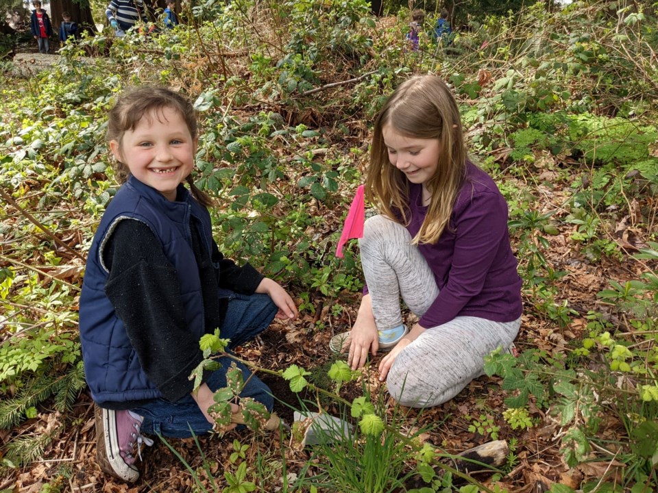 Two kids with a Douglas fir seedling