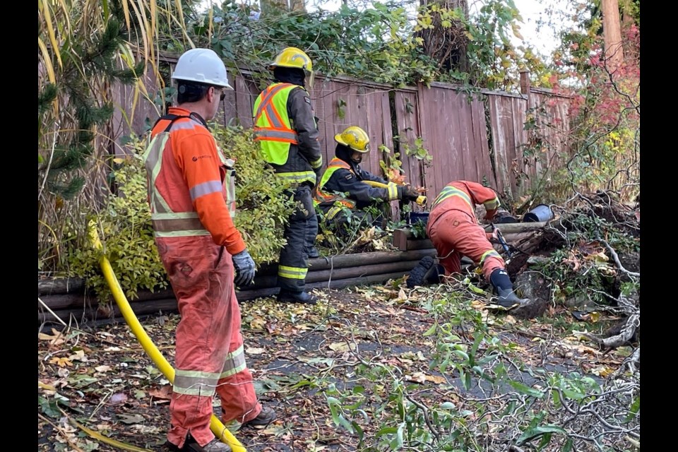 Gas line uprooted by tree during Nov. 4, 2022 windstorm. 