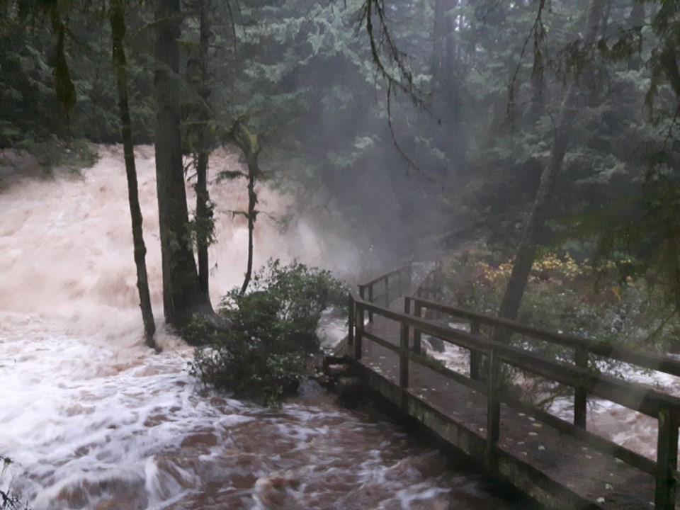 Raging water at  Cliff Gilker Park in Roberts Creek