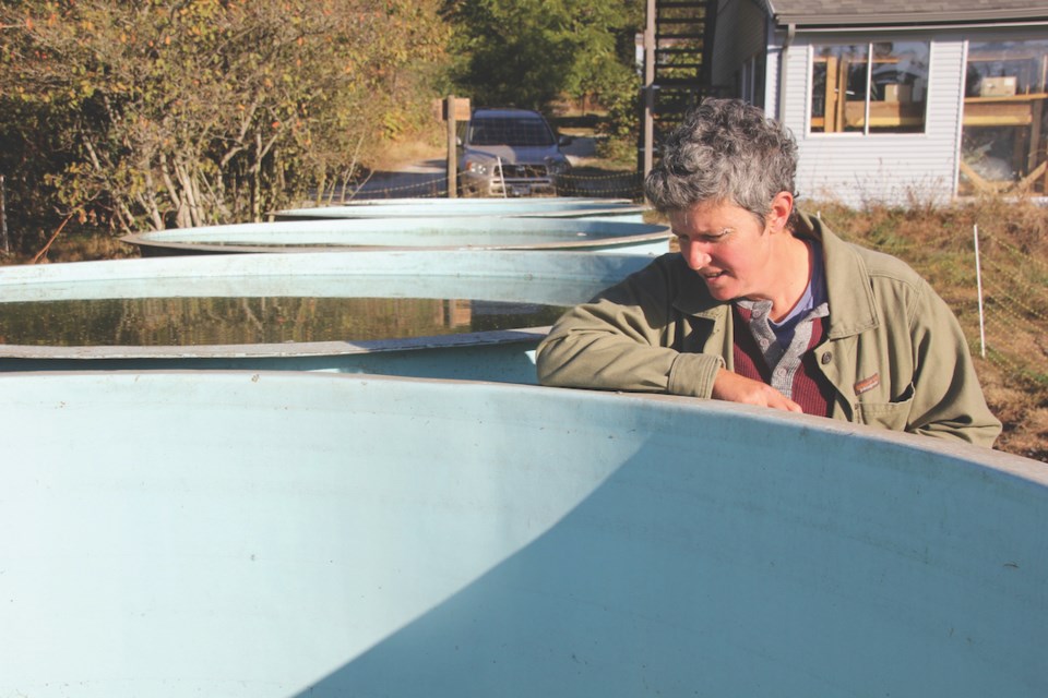 Mel Sylvestre of Grounded Acres Organic Farm installed water tanks right after taking on the Elphinstone farm. They hold about 9,000 gallons and are an emergency, not long-term, solution. 