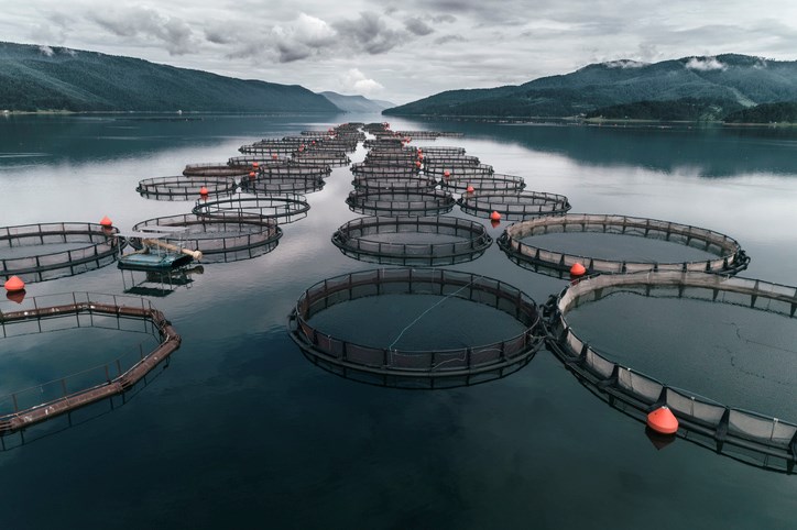 aquaculture