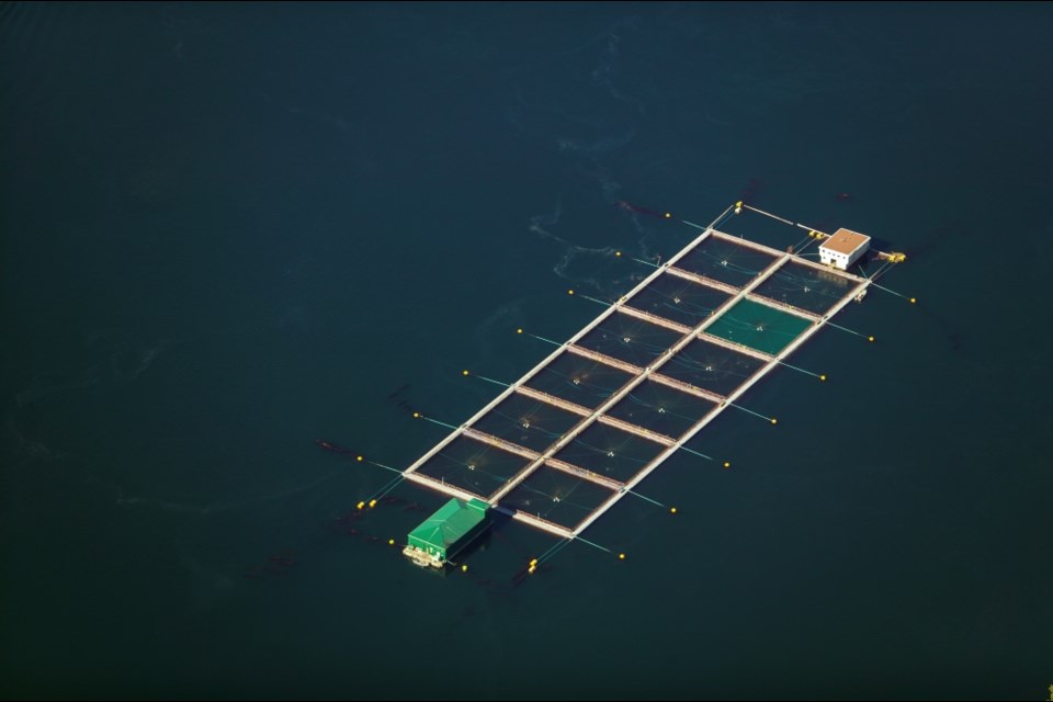 A B.C. fish farm shown from above. 