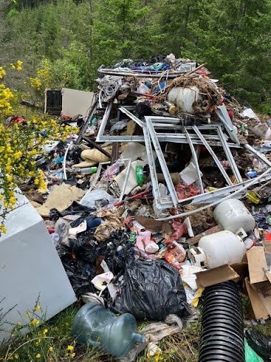 julydump1