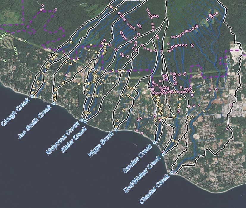 log-map