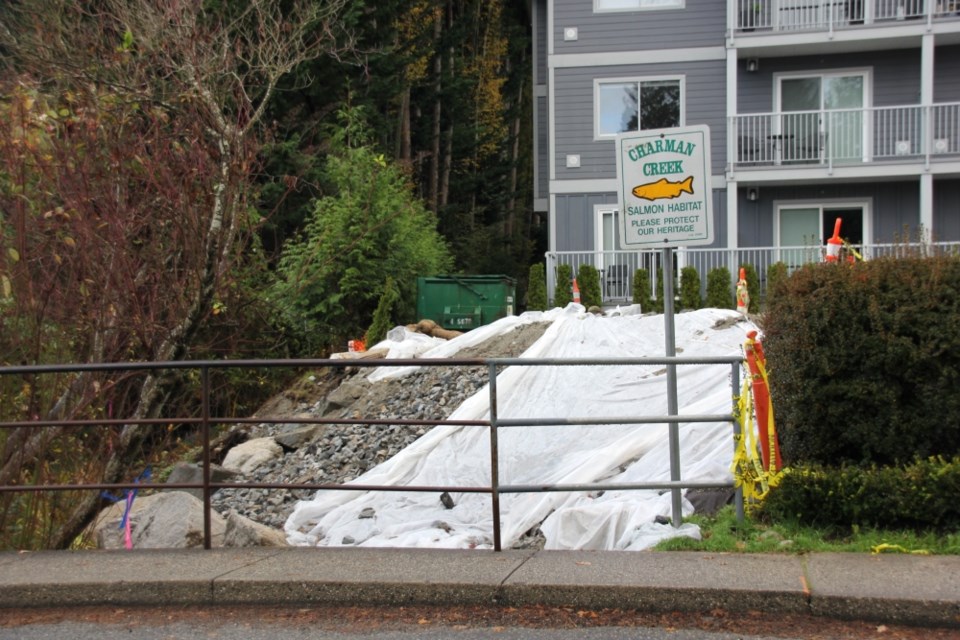 The construction crew rebuilding the retaining wall of Charman Creek discovered knotweed has contaminated the soil.