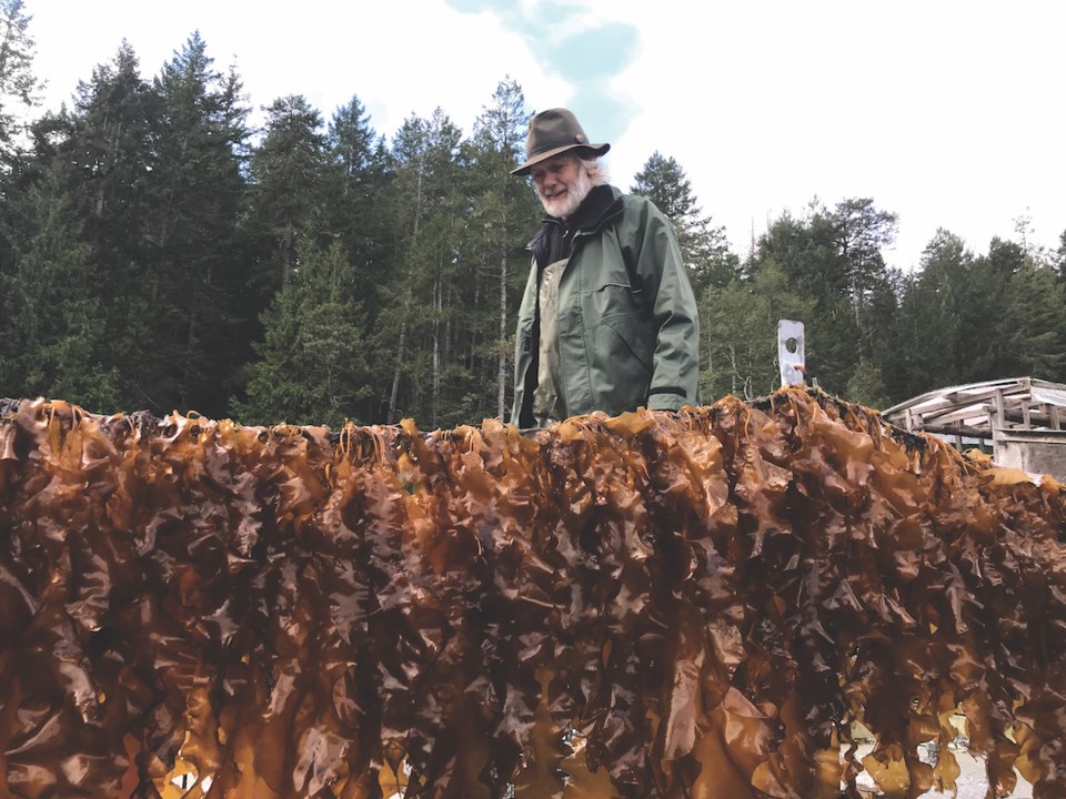 N.Ted Sees Kelp
