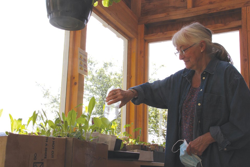 Davis Bay Elementary School recently received a delivery of plants from Pat Kolterman, who grows butterfly-attracting plants on her property.