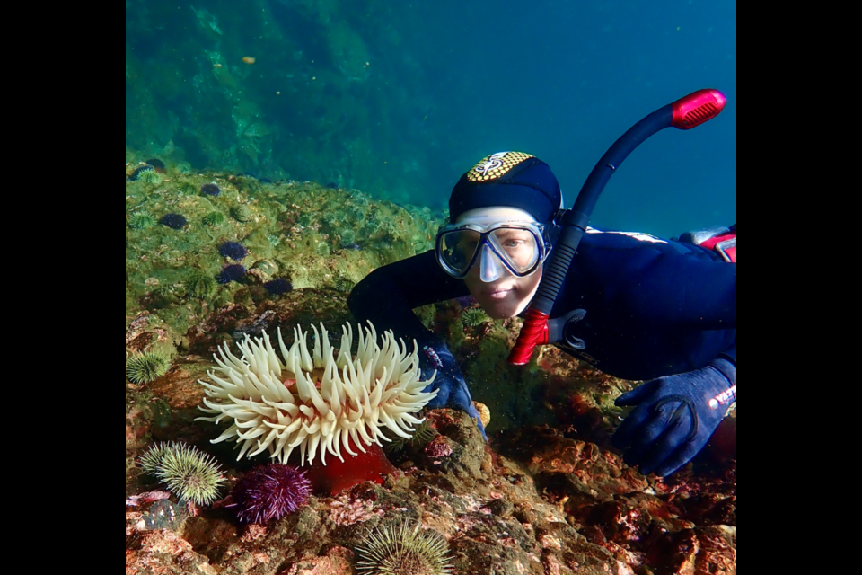 When Sara Ellison set out to snorkle the cold waters off Vancouver Island, what she learned became a book.