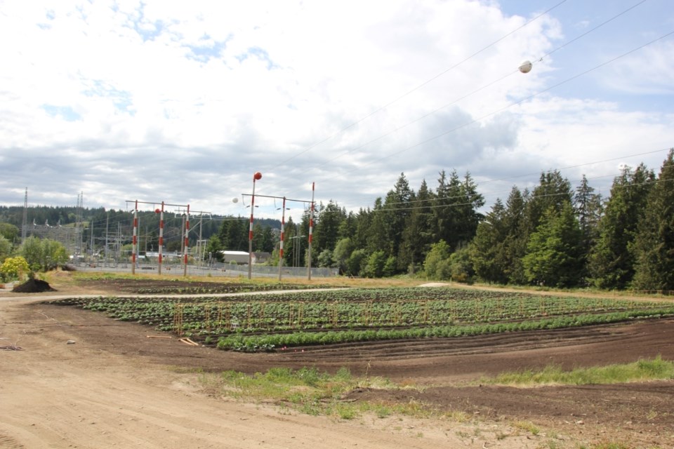 sechelt-regenerative-farm-june-2023