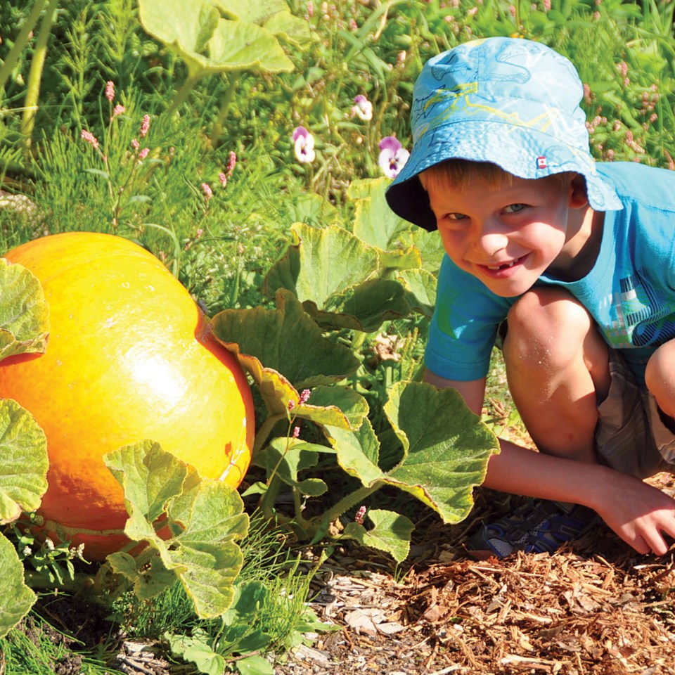 C. Botanical Gardens Harvest festival