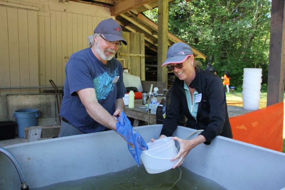 Jim and Lynn scooped the buckets of coho.