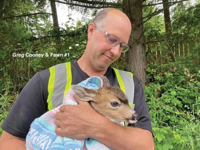 Greg Cooney and fawn one.