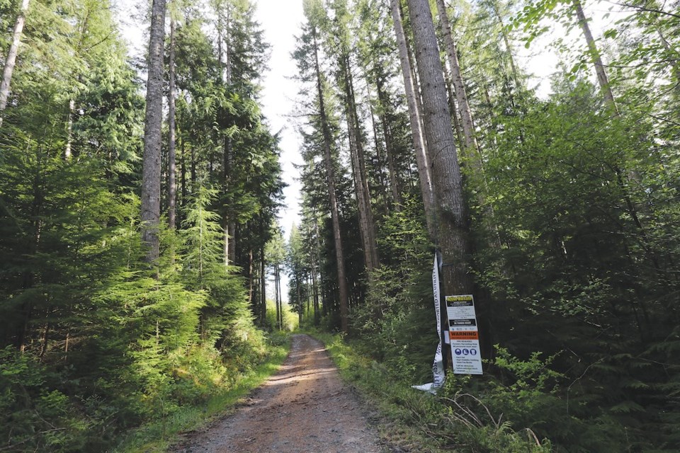 A court order posted at the entrance to the Joe Smith Creek cutblock. 