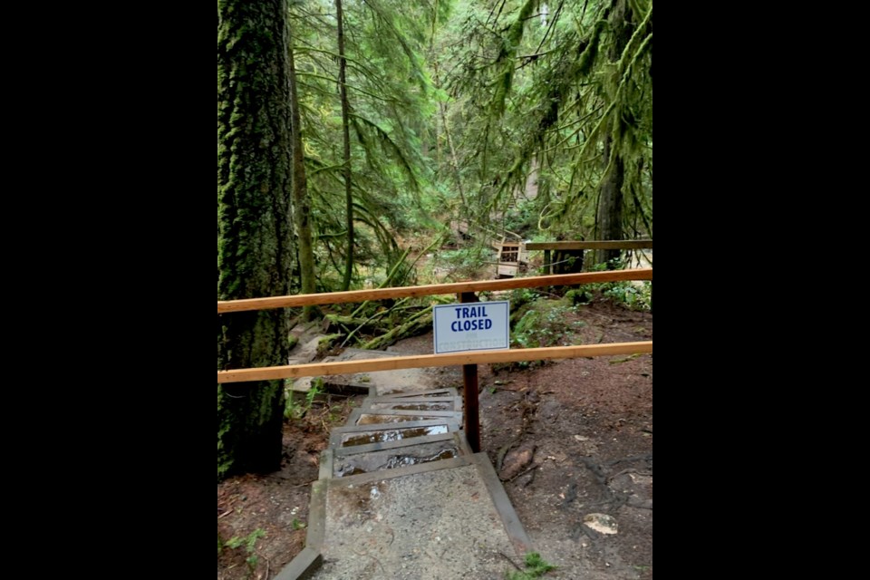 There are still two bridges closed in Cliff Gilker Park following storm damage in mid-November. 