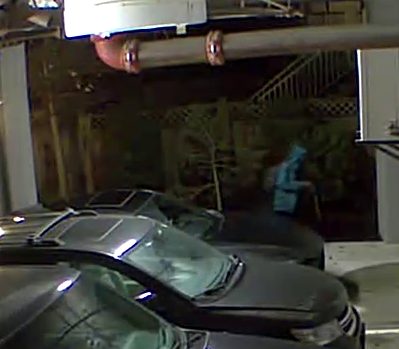 Video surveillance footage of suspect. 