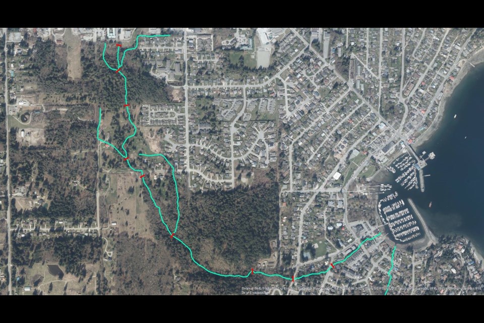 "Map of Charman Creek showing the location of reach breaks."