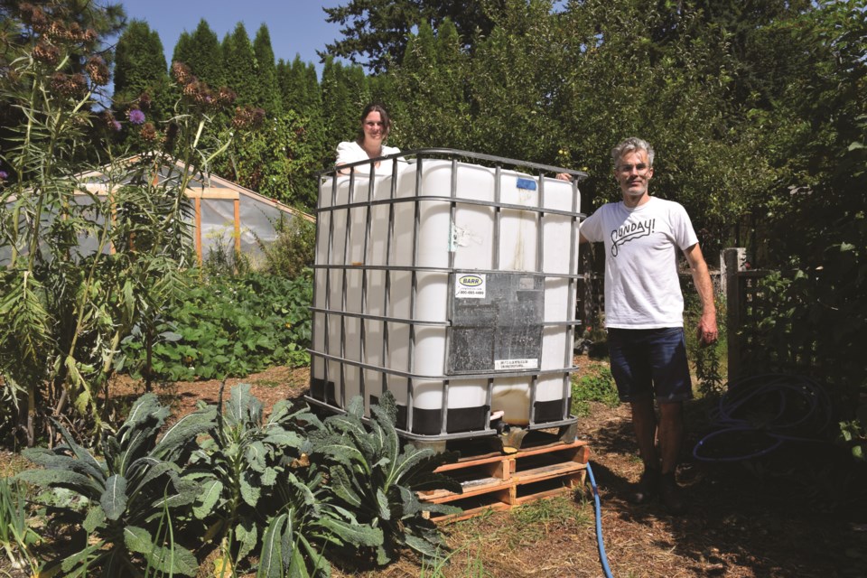 Sunday Cider co-founder Patrick Connelly delivers clear wastewater to the One Tiny Farm community garden in Roberts Creek on Aug. 17, with the help of Cassandra Fletcher of One Straw Society. 