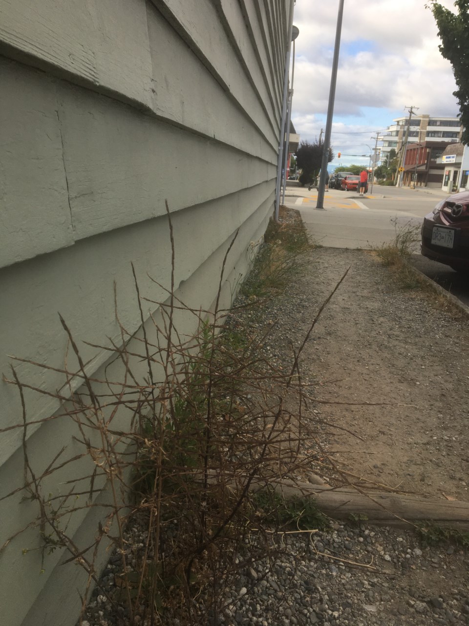 Sechelt Cowrie sidewalk