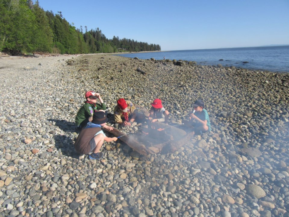beavers-on-the-beach