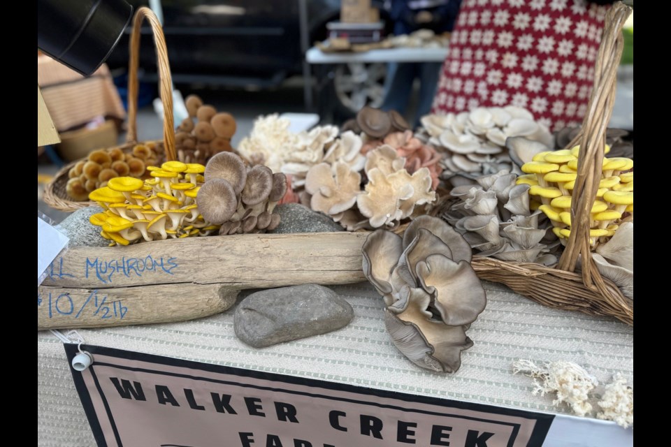Mushrooms from Walker Creek Farm, available at the Sechelt Farmers’ and Artisans’ Market.