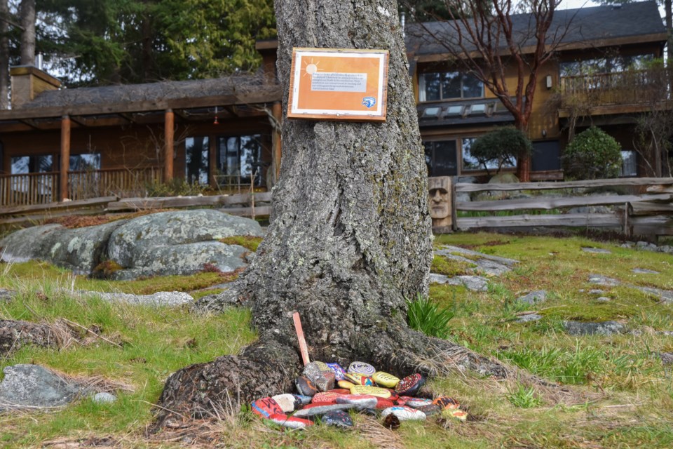 Students chose rocks to represent the weight they carry in the topic of truth and reconciliation and in life and placed them beneath a tree at Snickett Park. 