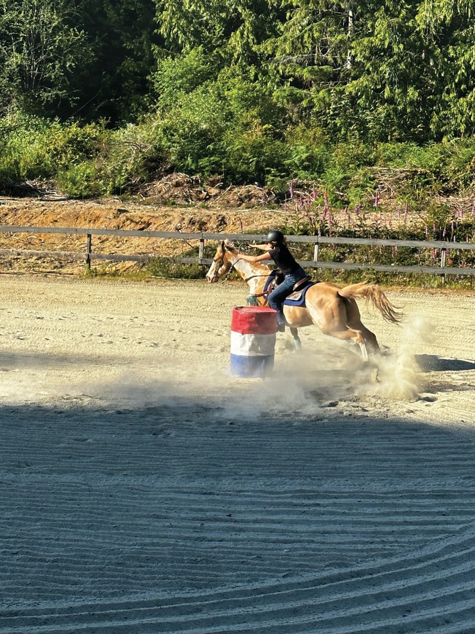 s-horses-a