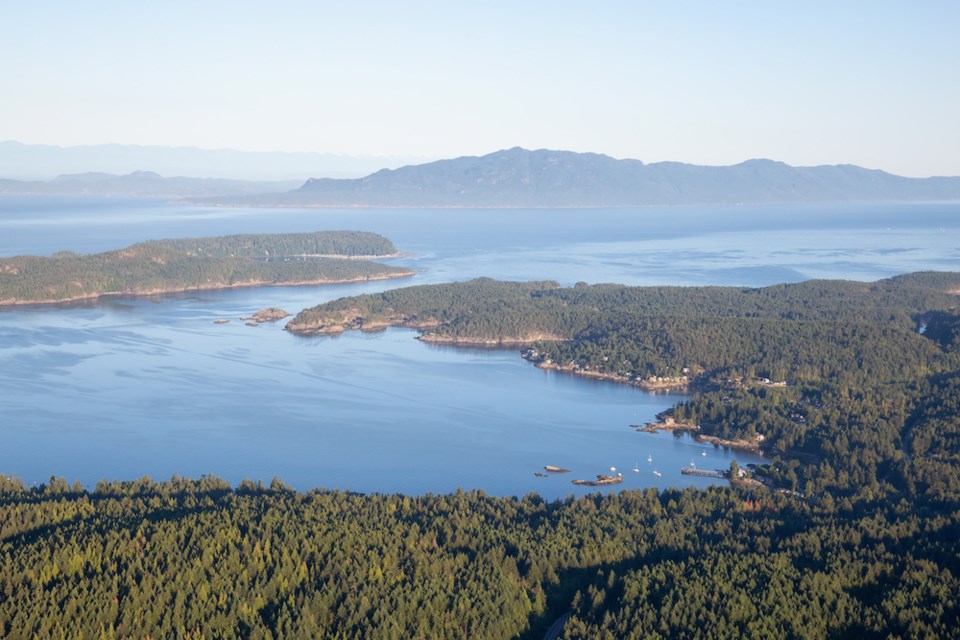 aerial-view-of-forested-halfmoon-bay