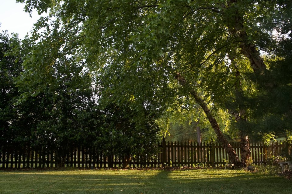 backyard