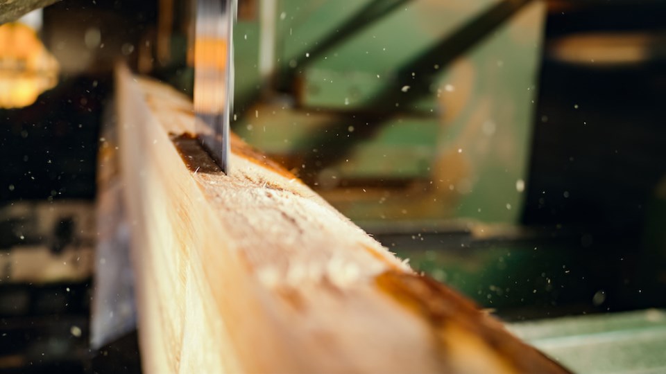 electric-saw-cutting-a-log-at-timber-yard