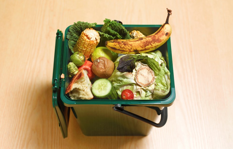 Food waste recycling compost