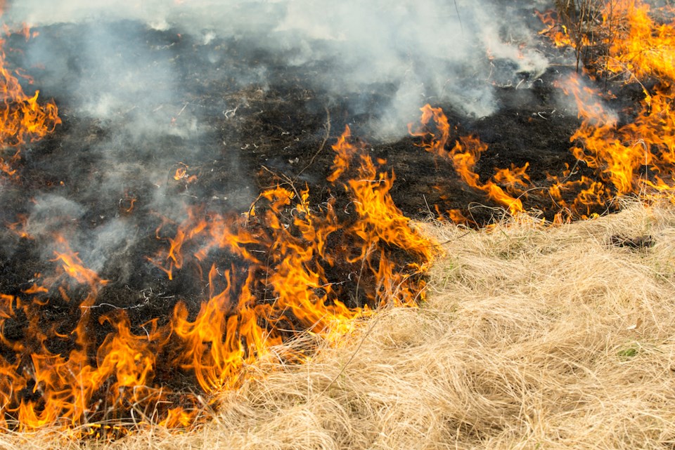 grass-on-fire-spreading-smoke-rising