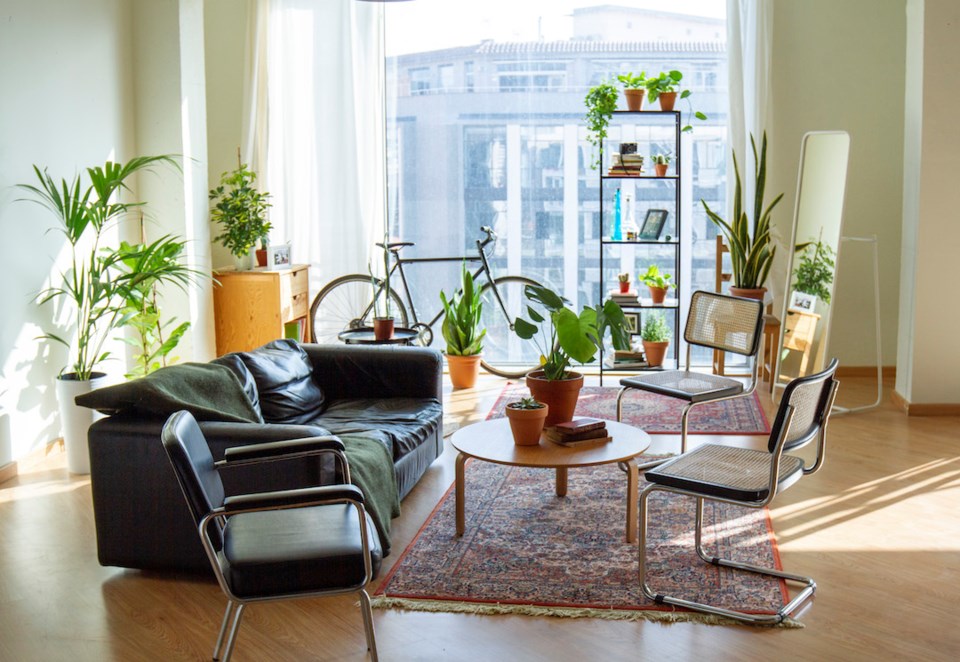 Plants in an apartment